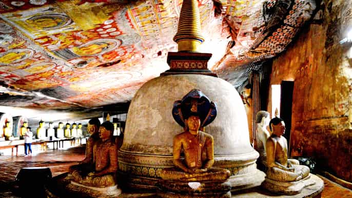from negombo dambulla caves kaudulla national park safari