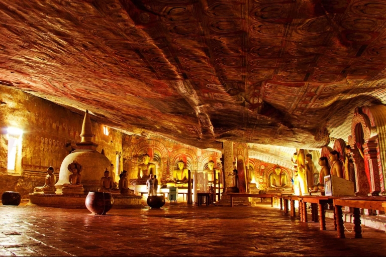 De Negombo: grottes de Dambulla et safari au parc national de Kaudulla