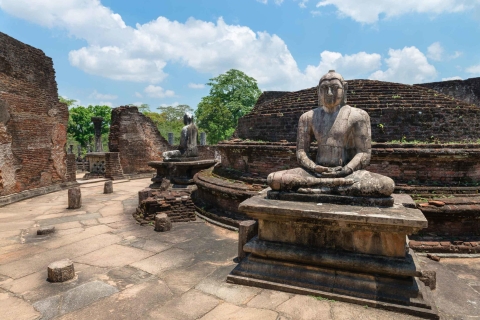 Tagesausflug in die antike Stadt Polonnaruwa von Negombo
