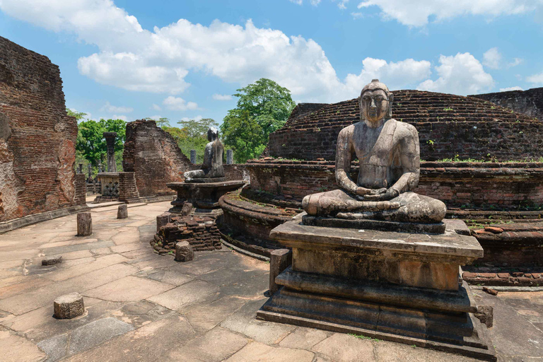 Dagtocht naar de oude stad Polonnaruwa vanuit Negombo