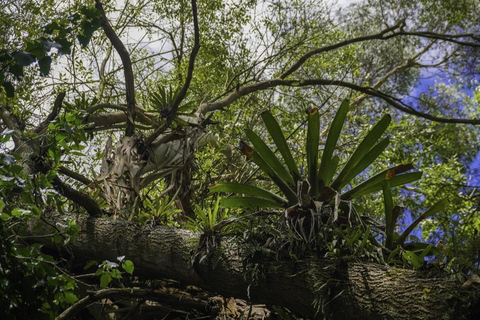 Bogotá & Andes: Trekking Chía, Tenjo, & Indigenous Heritage