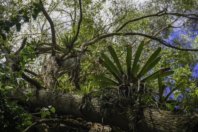 Bogotá & Andes: Trekking Chía, Tenjo, & Indigenous Heritage