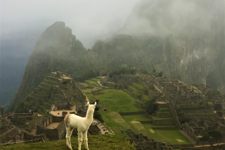 Machu Picchu : Visite guidée privée de la Cité perdueMachu Picchu : Service de guide privé