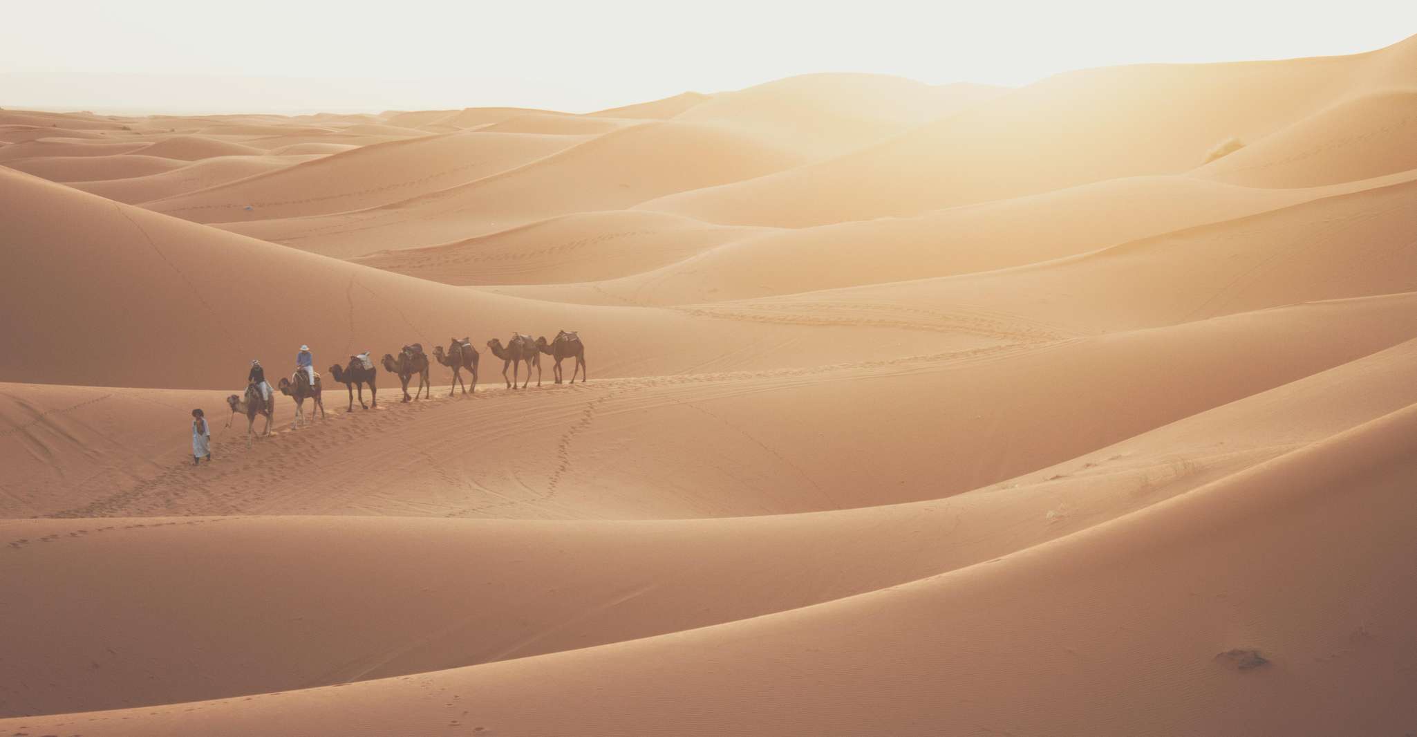 Doha: Desert Safari, Sandboarding, Camel Ride and Inland Sea photo 10