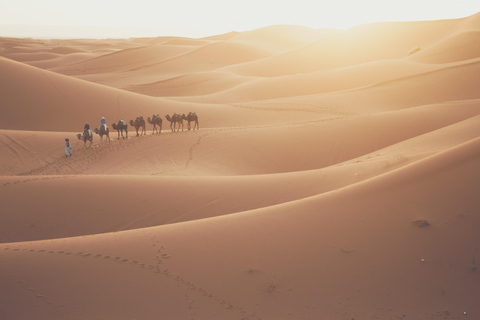 Doha: Wspólne pustynne safari, sandboarding, przejażdżka na wielbłądziePustynne safari z przejażdżką na wielbłądzie