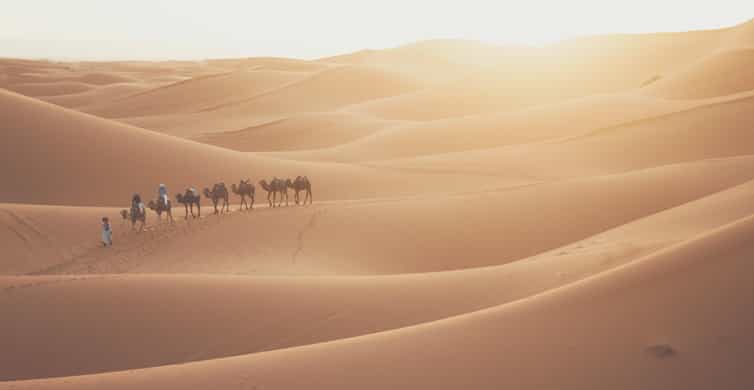 Doha: Desert Safari, Sandboarding, Camel Ride and Inland Sea photo 10