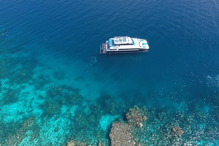 Port Douglas: Outer Barrier Reef Snorkel Cruise & Transfer Port Douglas Snorkel Tour With Hotel Pickup