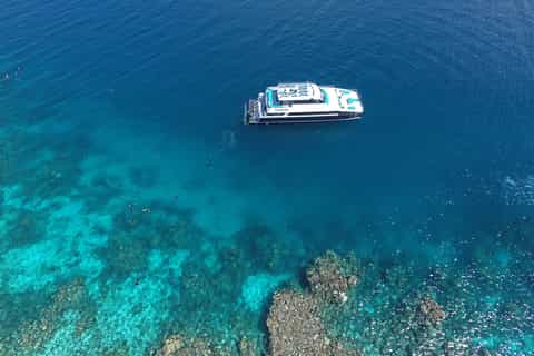 Port Douglas: Outer Barrier Reef Snorkel Cruise & Transfer