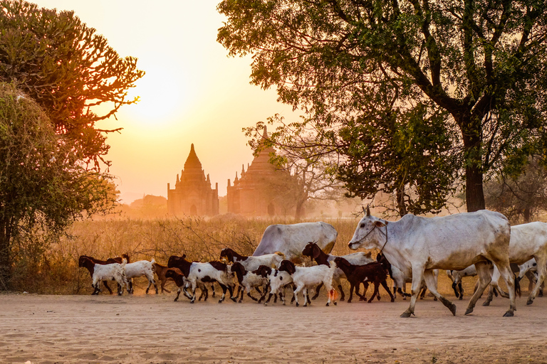 Bagan: Starożytne świątynie - wycieczka prywatnaBagan: Prywatna wycieczka po starożytnych świątyniach