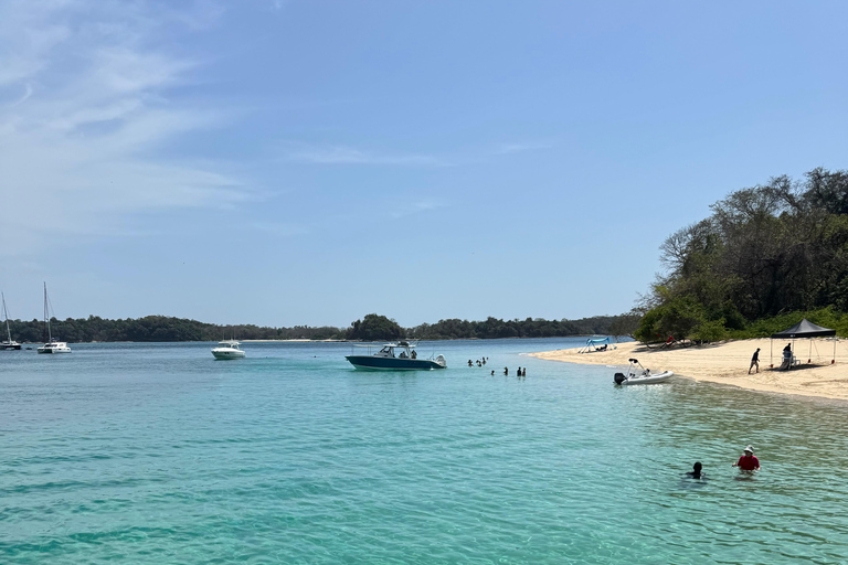 Panama City: Experience the best whale watching in Las Perlas Panama City: Experience the Best Whale Watching in Las Perlas