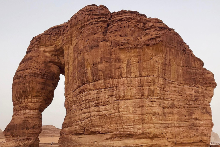 Al-Ula: Hegra, Old Town, and Rock Elephant walk tour