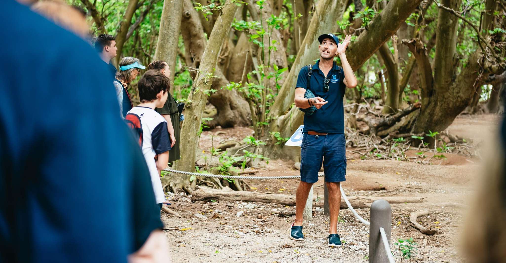 Bundaberg: Lady Musgrave Island and Great Barrier Reef Tour photo 13