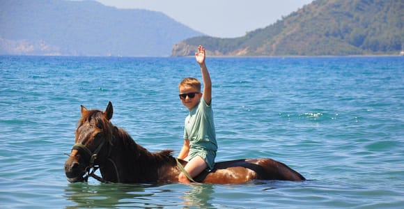 Fethiye: Forest Adventure & Scenic Nature Tour