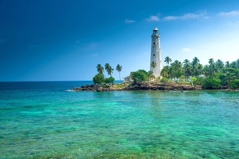 Galle och Bentota Dagsutflykt från Colombo eller Negombo