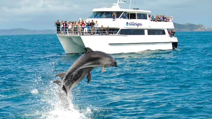 hole in the rock dolphin cruise cape reinga day trip combo