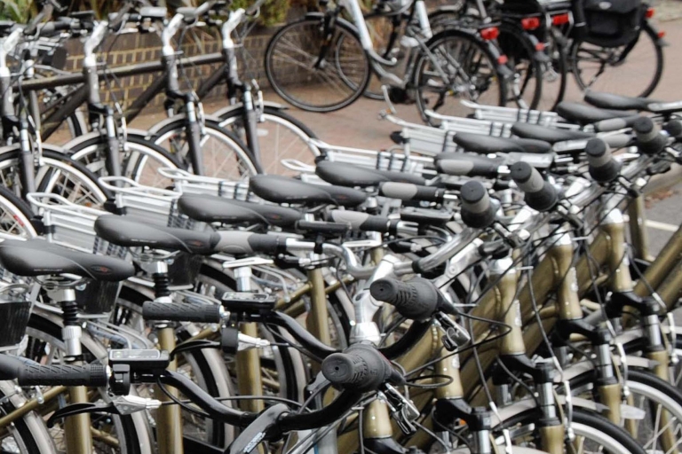 Sewilla: 3-godzinna wycieczka rowerem elektrycznymPrzewodnik holenderski