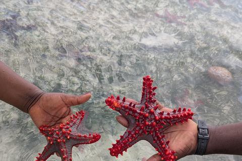 Kuza Cave, Hidden Mtende Beach & The Rock Restaurant Private tour with NO hotel transfer But Include Entry Fee.