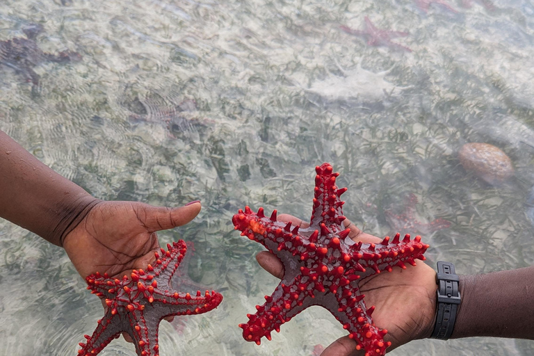 Kuza Cave, Hidden Mtende Beach & The Rock Restaurant Private tour with NO hotel transfer But Include Entry Fee.