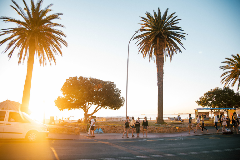 Ciudad del Cabo: tour por la ciudad a pie y en minibús