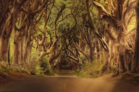 From Belfast: Game of Thrones Full-Day Luxury Private Tour