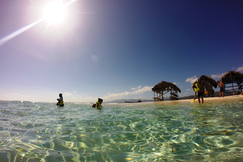 Cayo Arena: tour de la isla Paraíso y los manglares