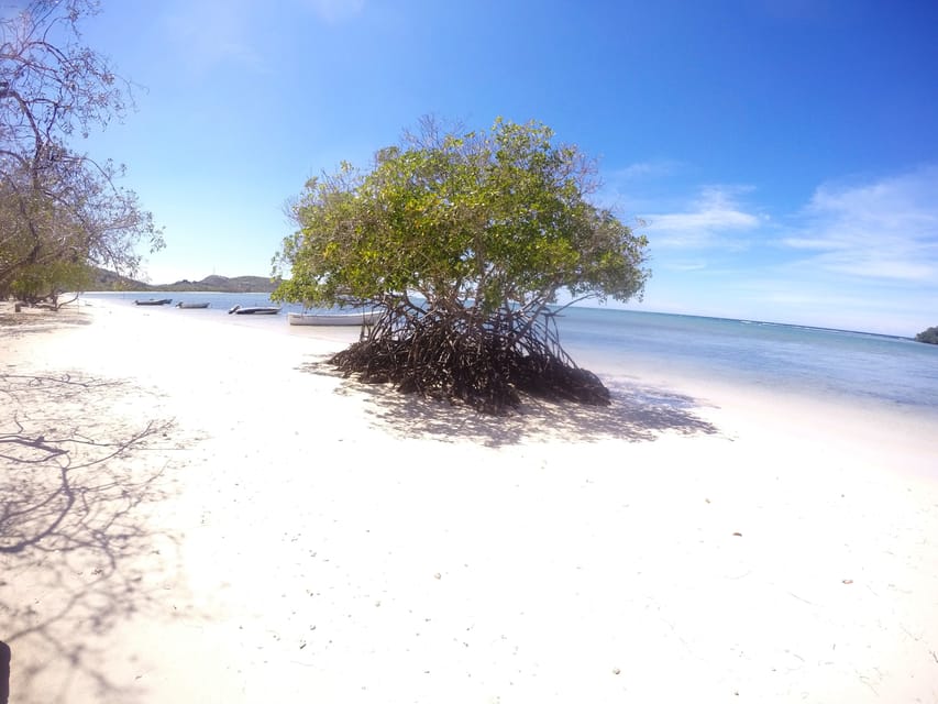 Paradise Island / Cayo Arena - Marysol Tours Cayo Arena Tour in