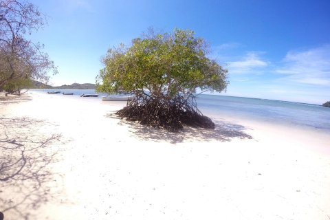 Cayo Arena : Paradise Island et visite des mangroves