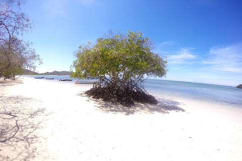 Cayo Arena : Paradise Island et visite des mangroves