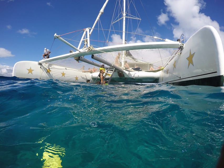 Sosua Catamaran Excursion | GetYourGuide