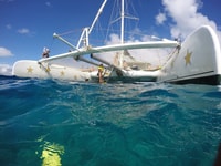 Excursion de catamaran Sosua - Housity