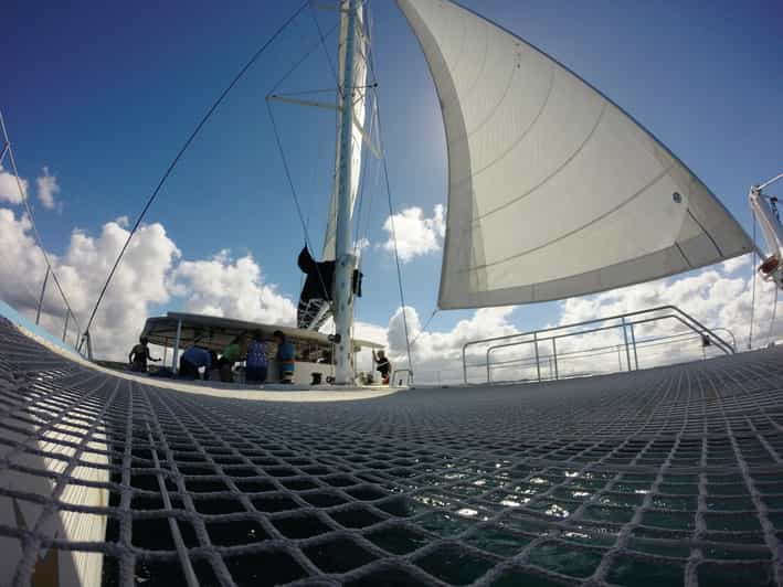 excursion catamaran corse du sud