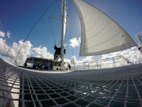Excursion de catamaran Sosua - Housity