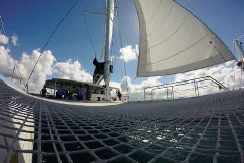 Cruises & boat tours