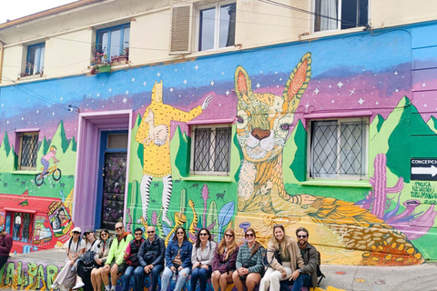 Santiago: Valparaíso Cruise Port Transfer & Vineyard Tour