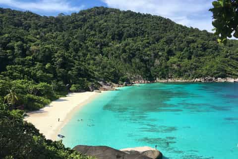 From Phuket/Khaolak: Similan Islands Early Bird Day Trip