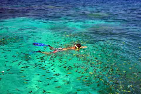 From Phuket/Khaolak: Similan Islands Early Bird Day Trip