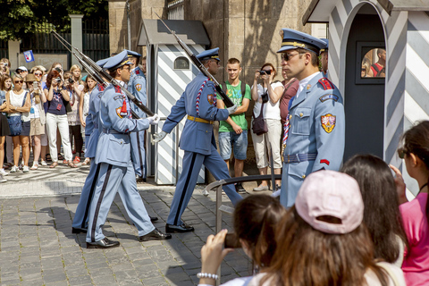 Praga: Biglietto di ingresso prioritario per il castello e audioguida facoltativaBiglietto per il castello di Praga con breve introduzione