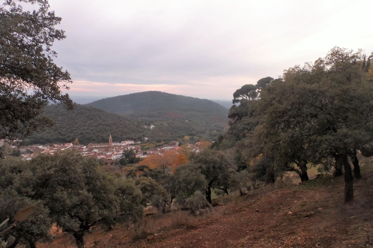 Desde Sevilla: Excursión de un día a Aracena y las Minas de Río TintoTour compartido