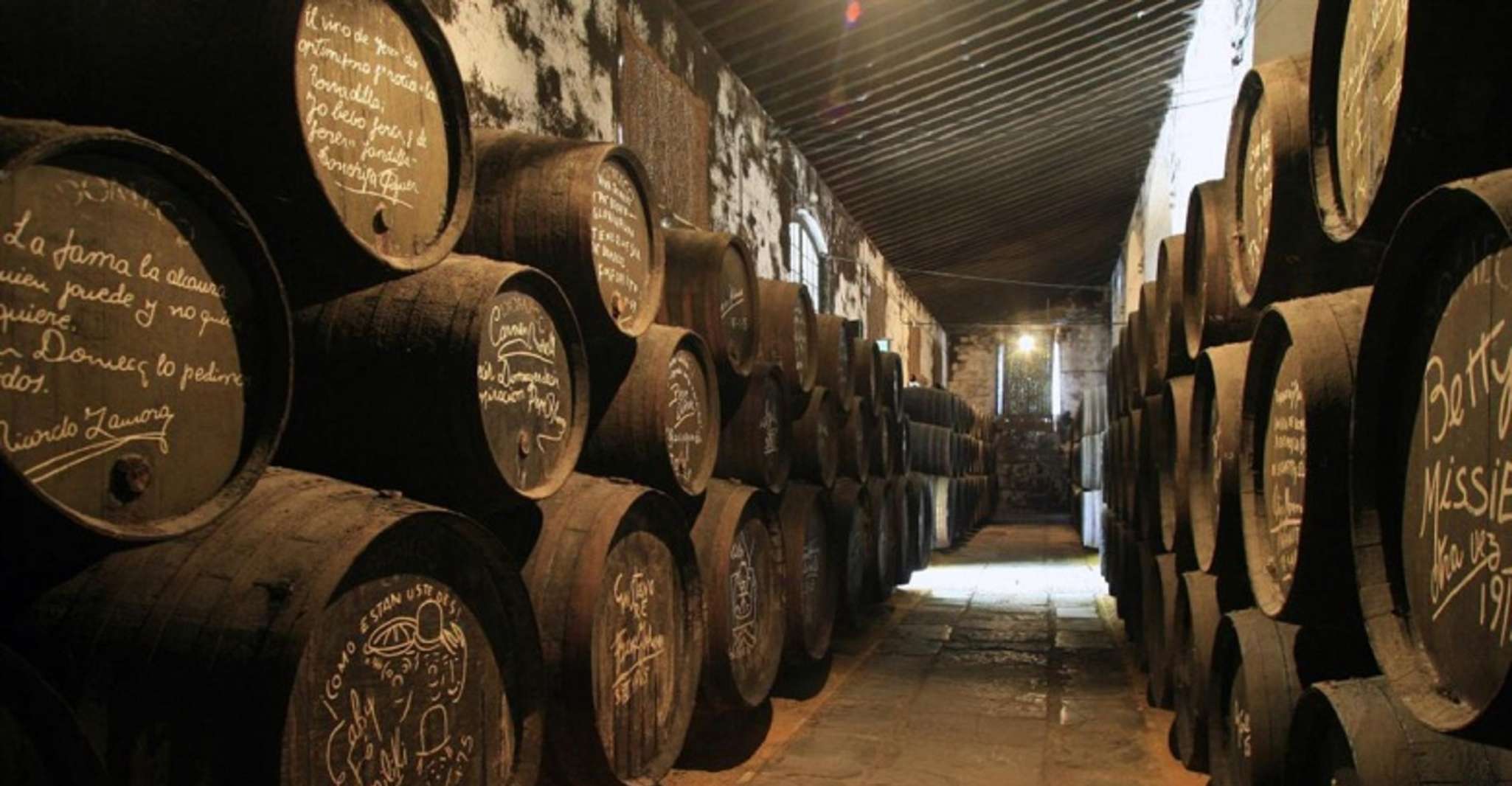 From Seville: Cadiz and Jerez de la Frontera Day Trip photo 9