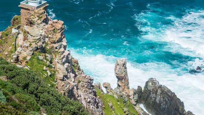 excursão combinada privada de dia inteiro na península do cabo e winelands