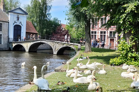 Bruges de bicicleta com a família e os amigos!Bruges de bicicleta com a tua família e amigos!