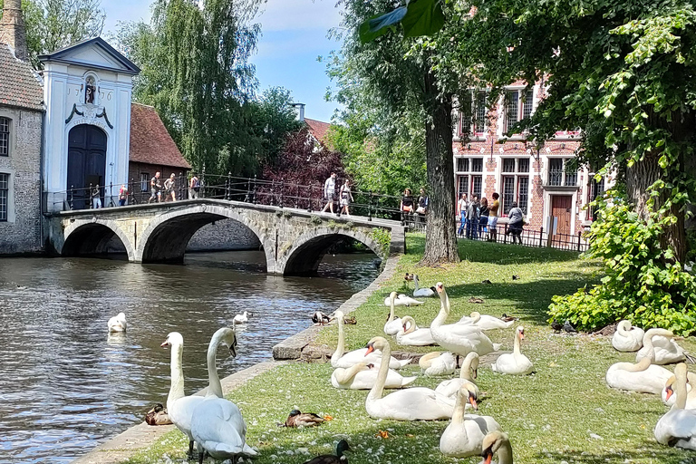 Bruges en vélo avec la famille et les amis !