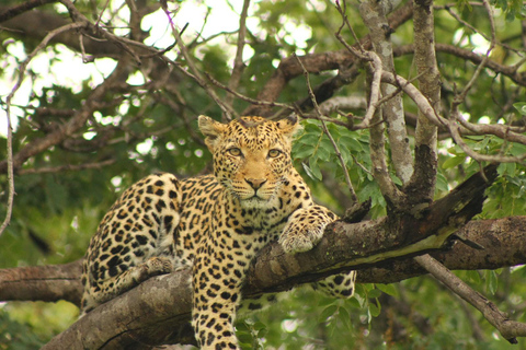 Chobe National Park & Victoria Falls 2-Day Tour