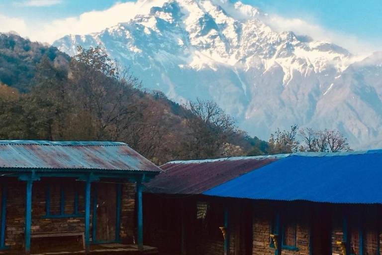 Von Pokhara: 7-tägige Wanderung Mardi Himal Base Camp TrekAb Pokhara: 7-tägige Wanderung zum Mardi Himal Base Camp