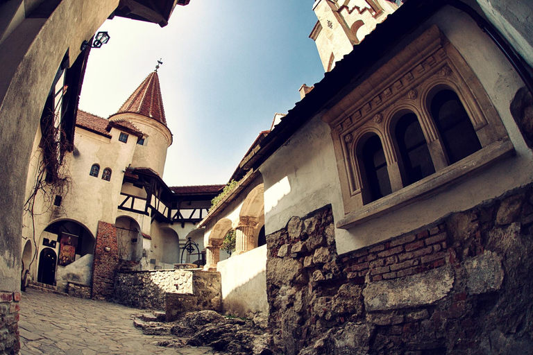 Bucharest: Transylvania Tour with Peles, Dracula, and Brasov