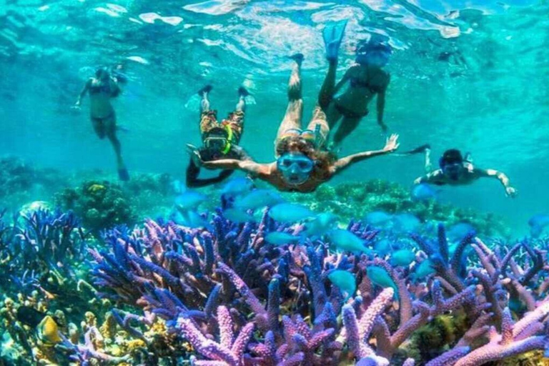 snorkeltrip bij zonsondergang