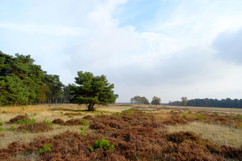 Kröller-Müller Museum en Rondleiding Nationaal Park