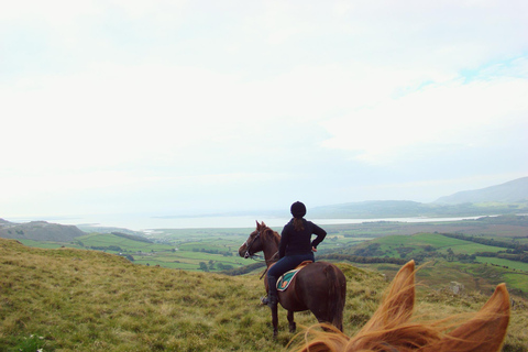 Azores: Sete Cidades Mountain Horseback Ride