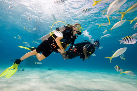 Fethiye Scuba Diving Experience – Discover the Mediterranean