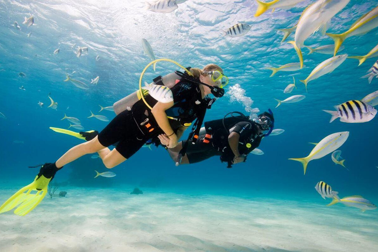 Fethiye Scuba Diving Experience – Discover the Mediterranean